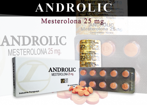 Androlic Mesterolona 25mg de LANDERLAN